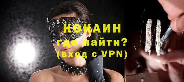 стафф Арсеньев