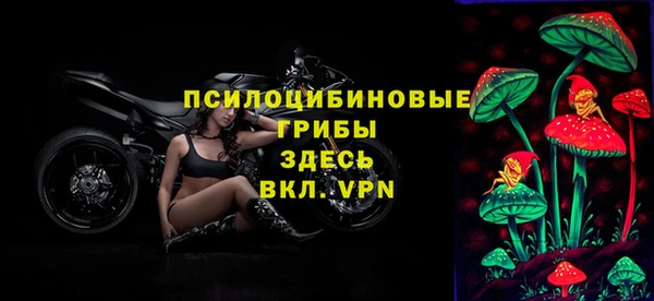 стафф Арсеньев