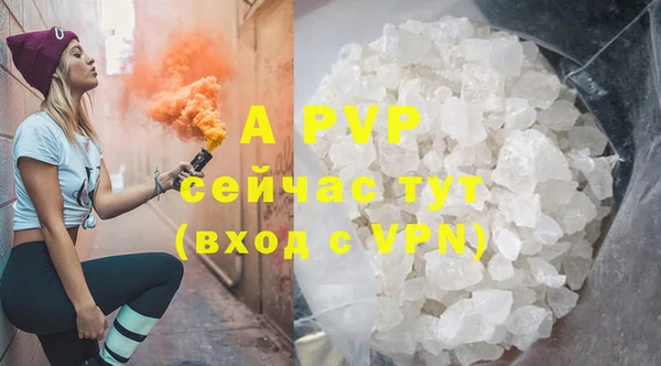 стафф Арсеньев
