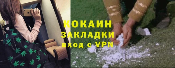 стафф Арсеньев